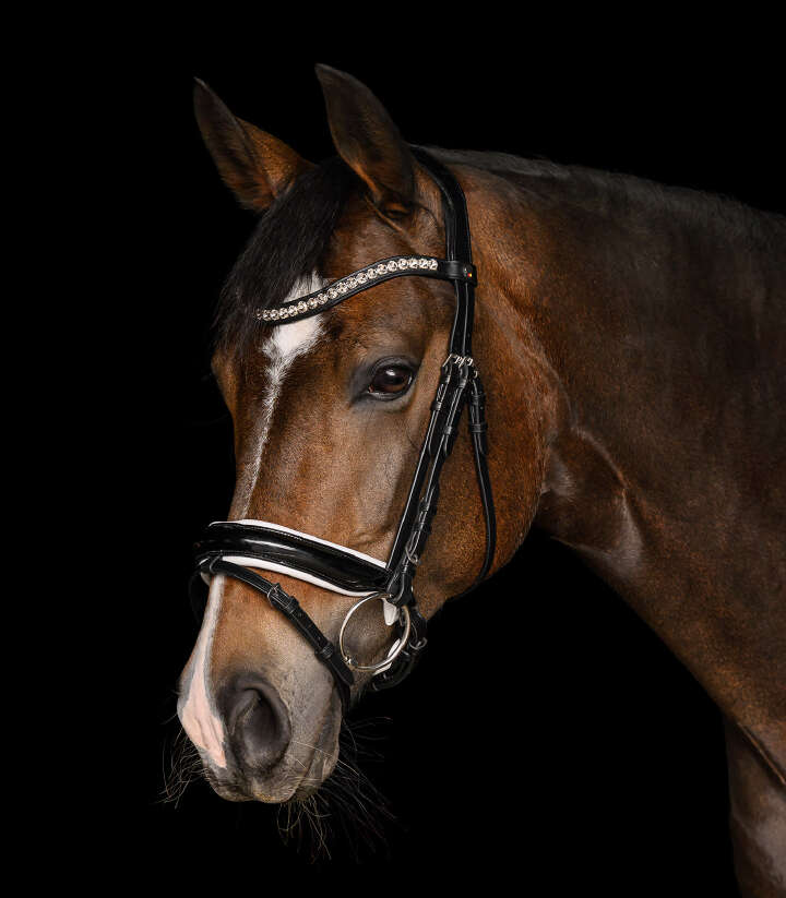 WALDHAUSEN X-Line Trensenzaum Evermore